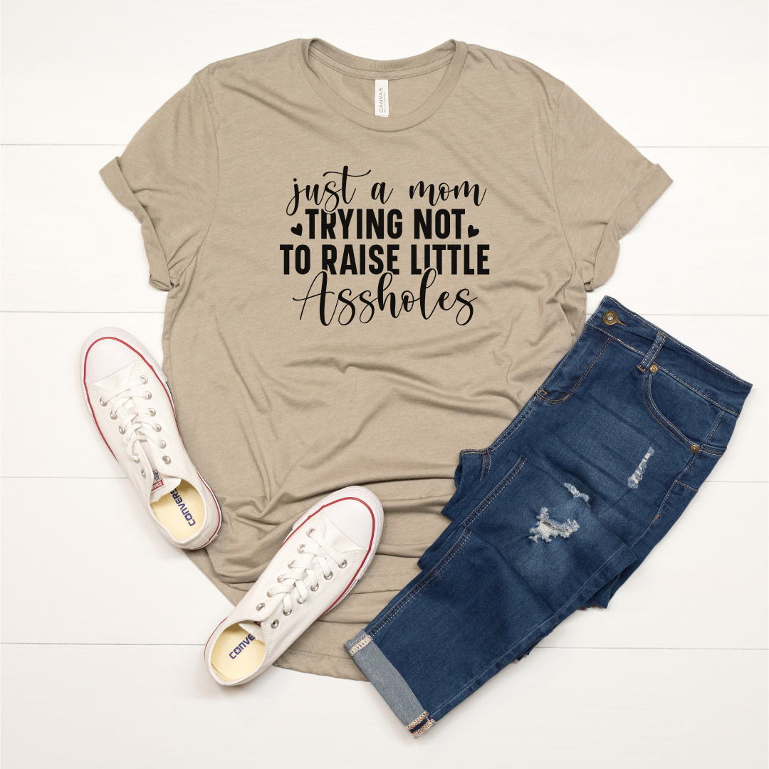 Just a Mom Trying